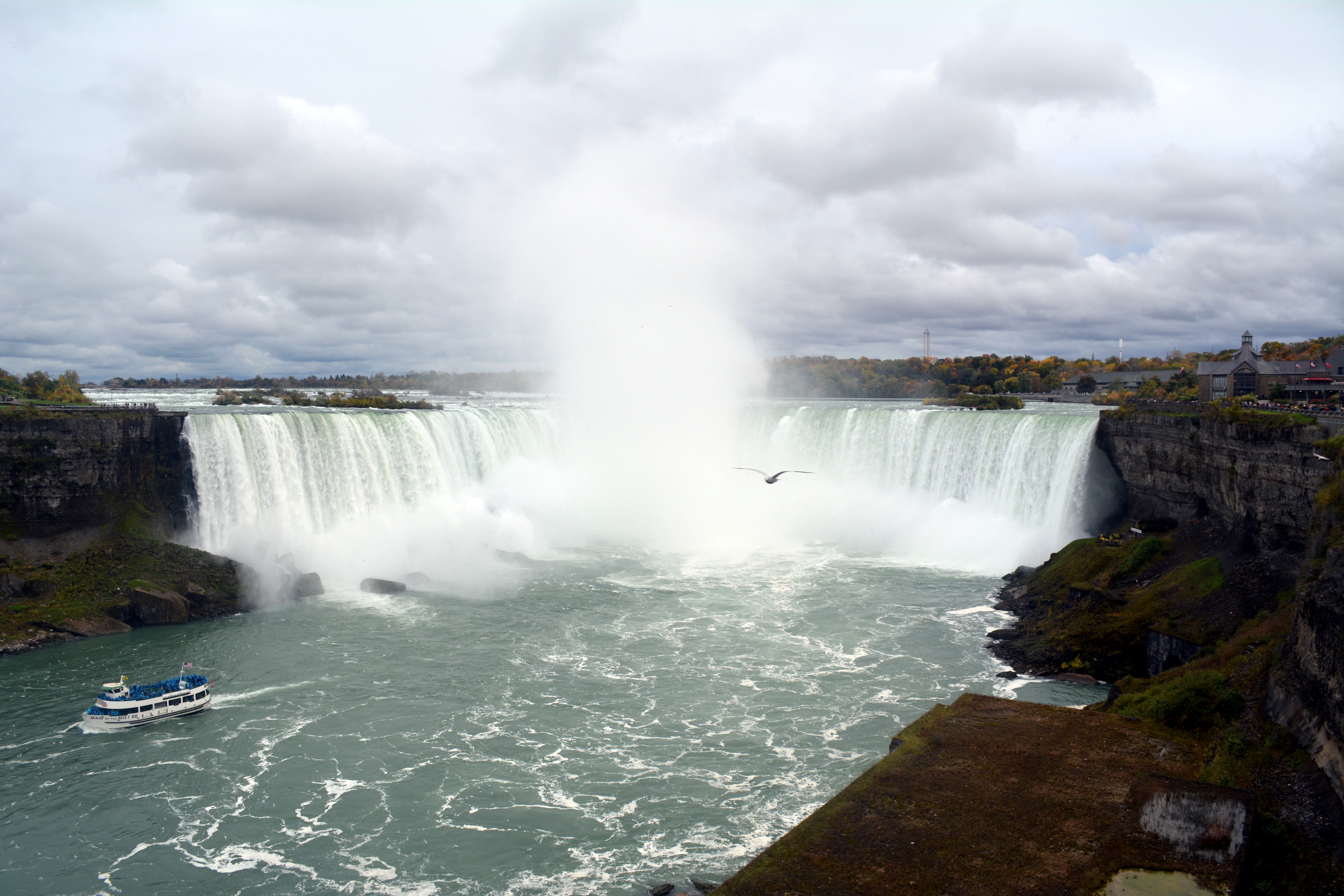 DSC_0115