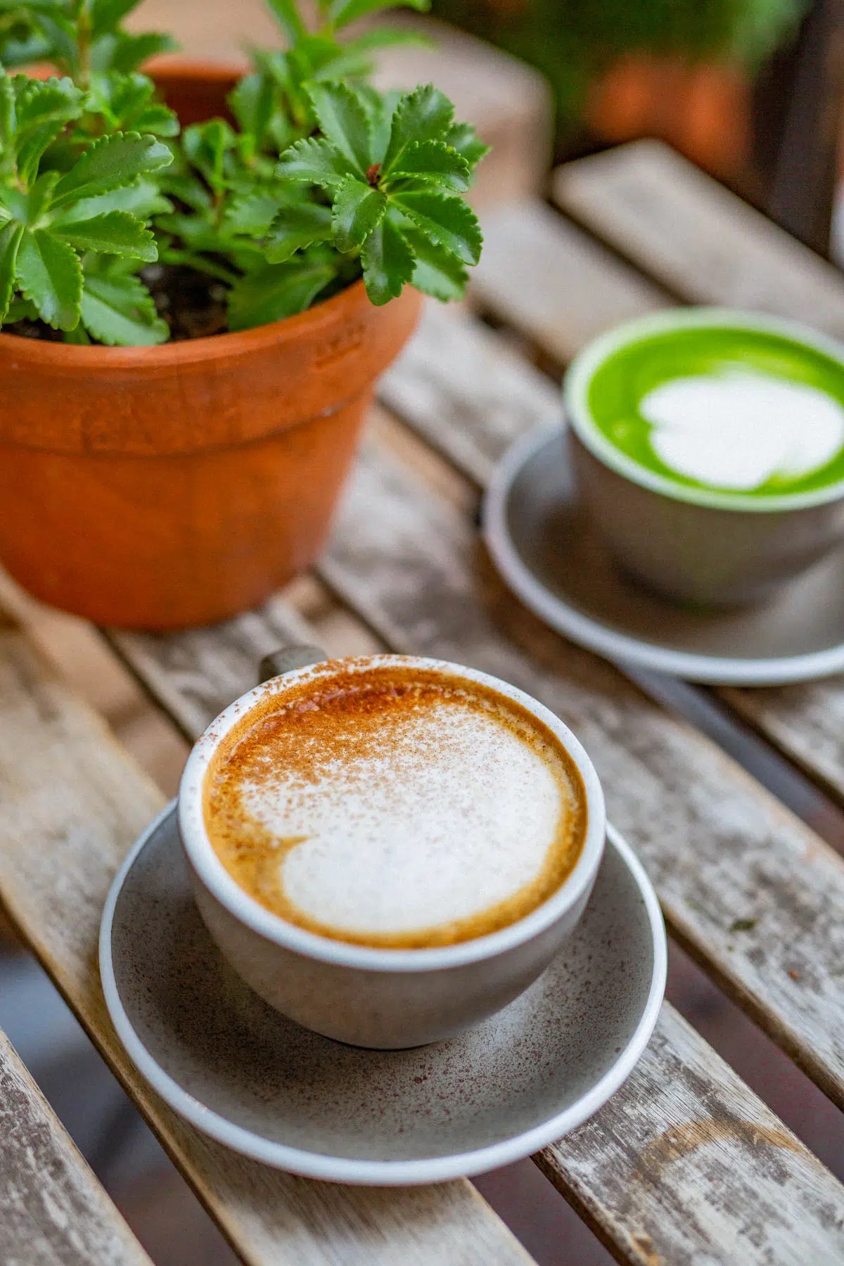 15 Cute Cafes in New York City (Instagram Worthy Spots) (15)