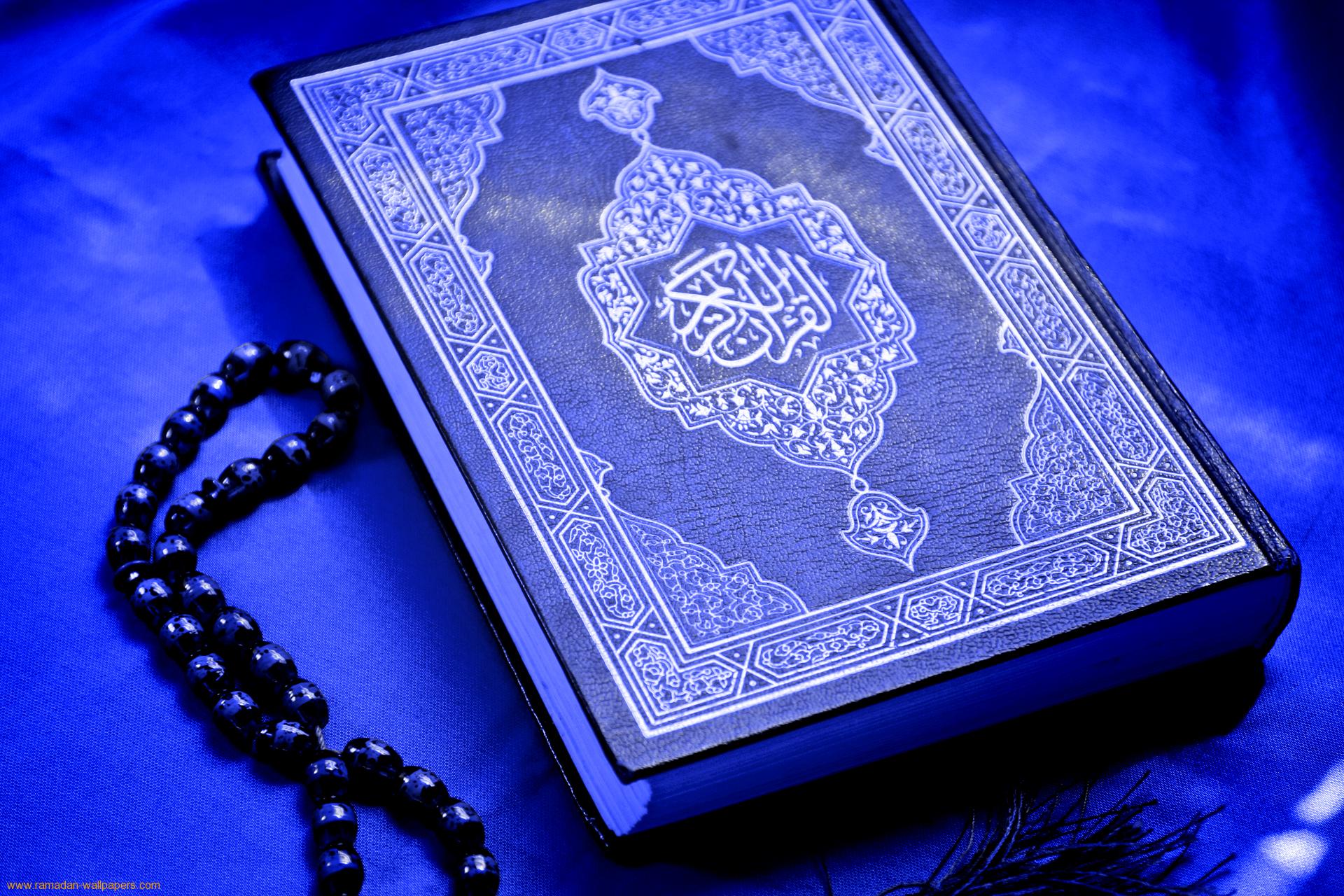 Tanzil Quran Lite This is only a single file download just install and enjoy the app.