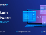 Custom Software Development Company In Chennai
