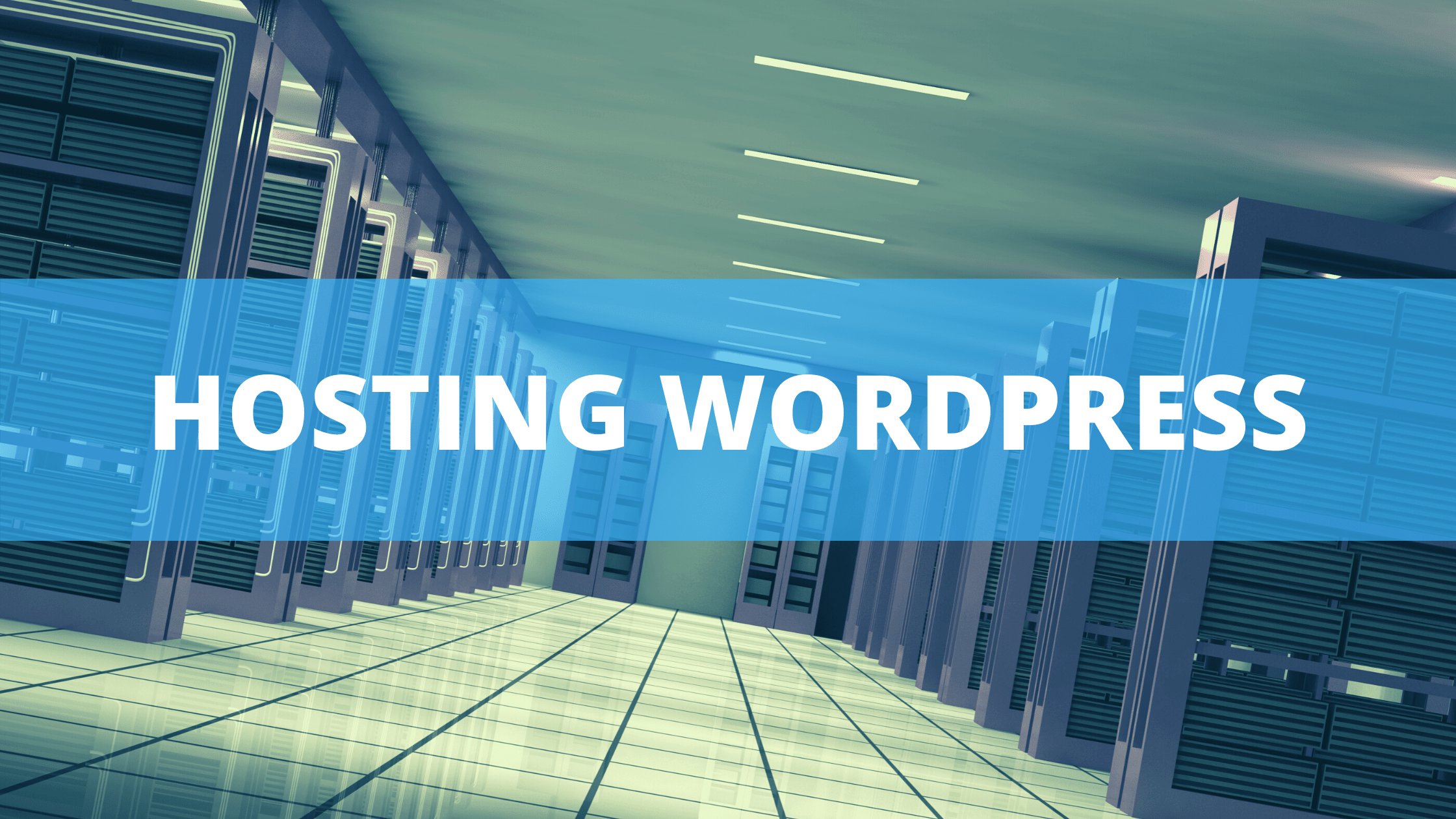 hosting wordpress