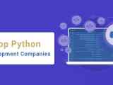 Top Python Development Companies In India Next Big Technology