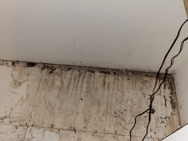 no waterproofing wall