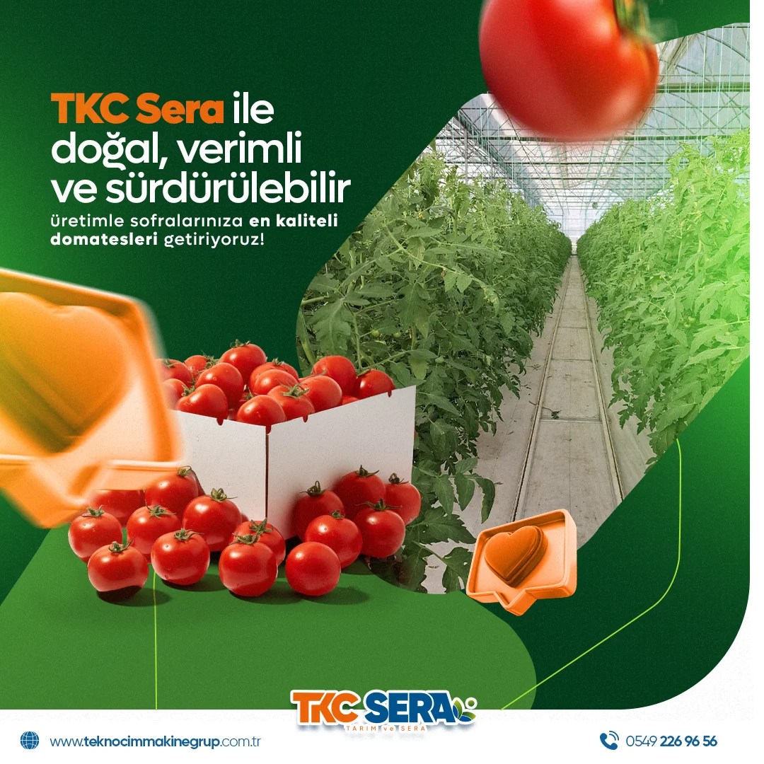 Adana Sosyal Medya Yönetimi