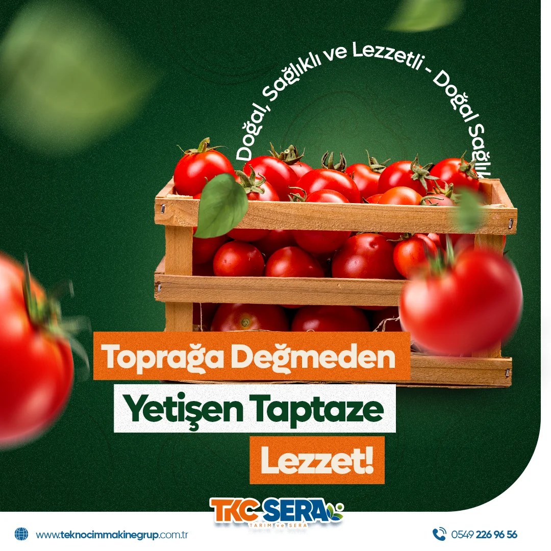 Adana Sosyal Medya Yönetimi