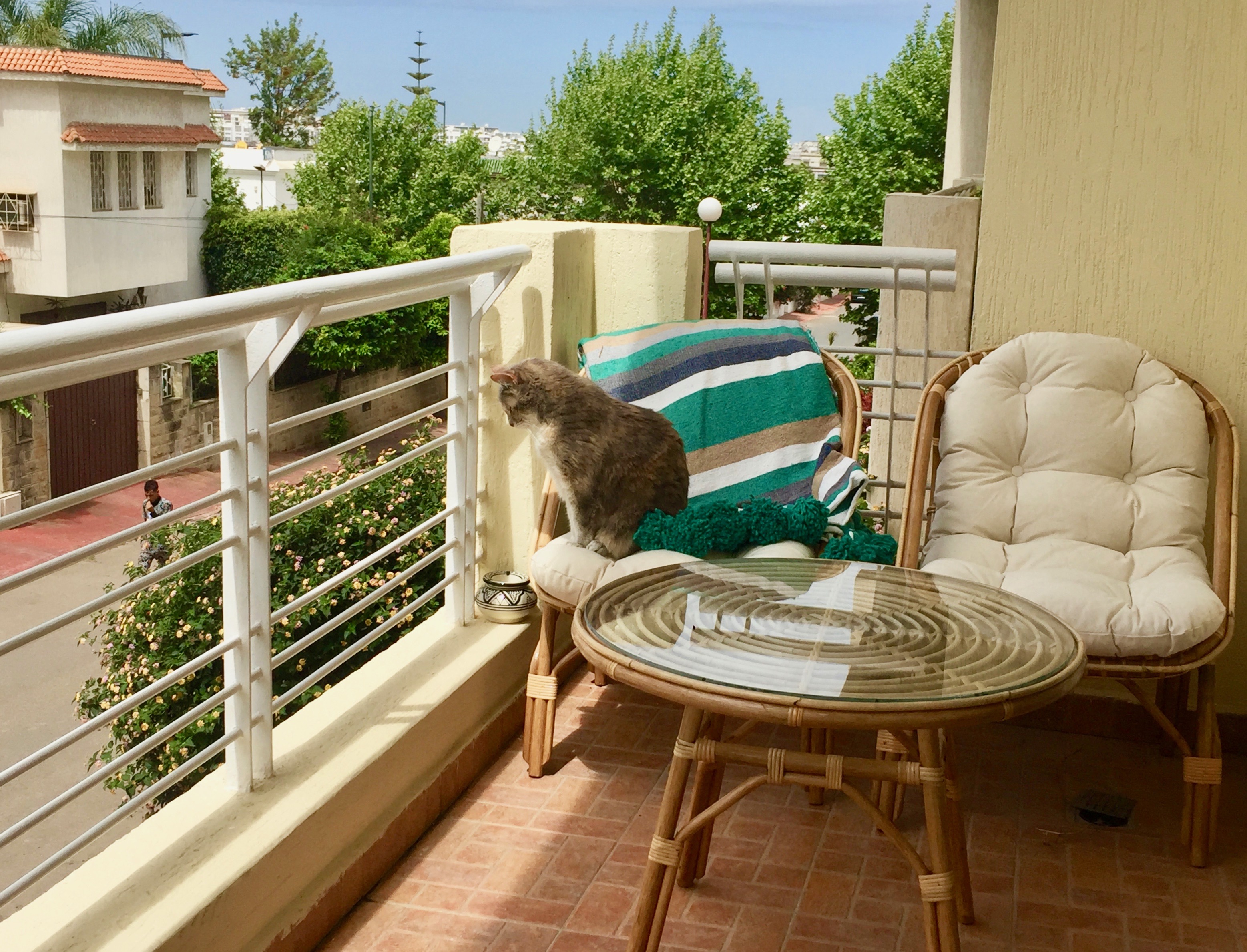 I just brought home this rattan balcony set from Oulja and no one is enjoying it more than Boj.