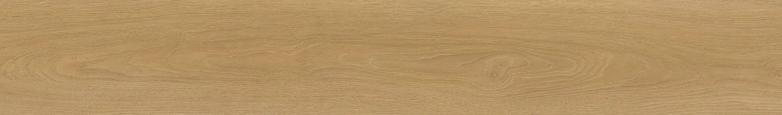 LAPLAND OAK
