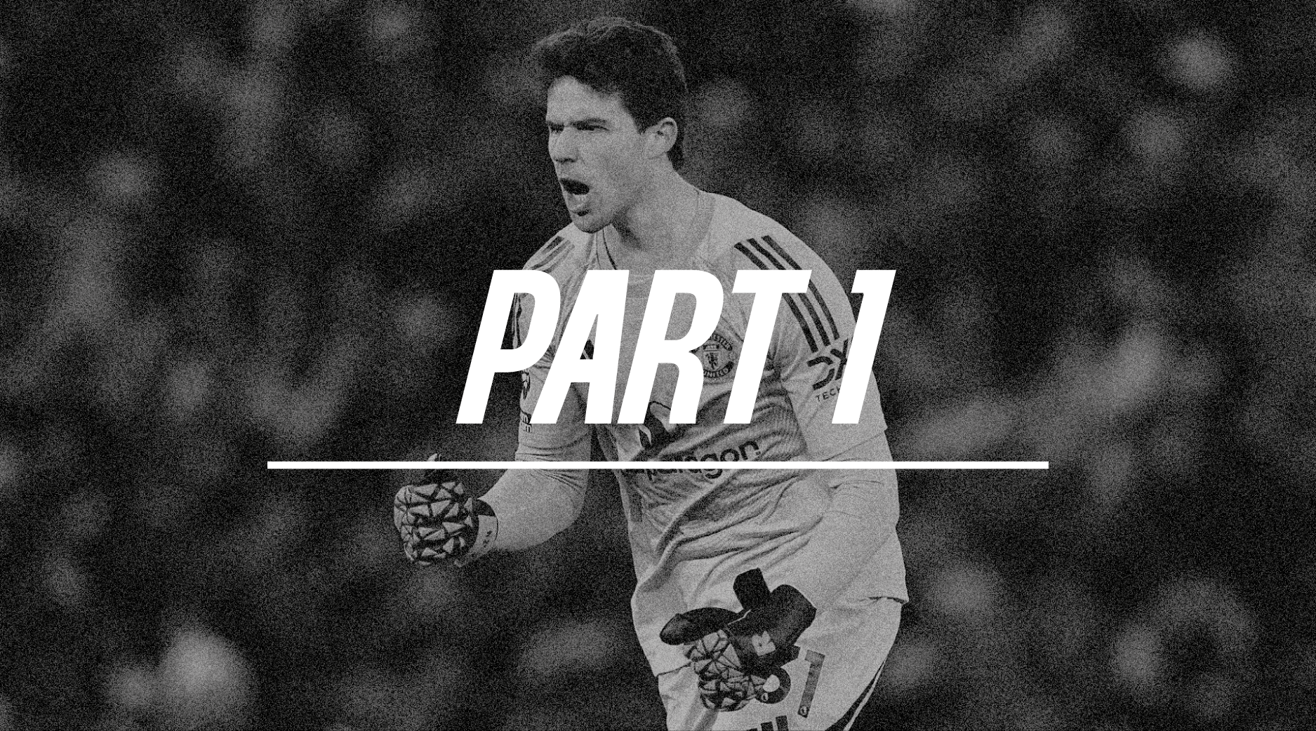 Manchester United Squad (Part 1)