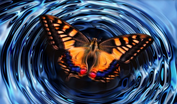 Ce que la chenille appelle la fin du monde, le sage l'appelle un papillon.
- Richard Bach