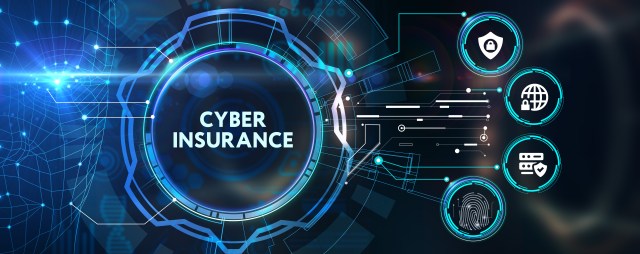 Cyber security data protection business technology privacy concept Cyber insurance - Next Level Secure