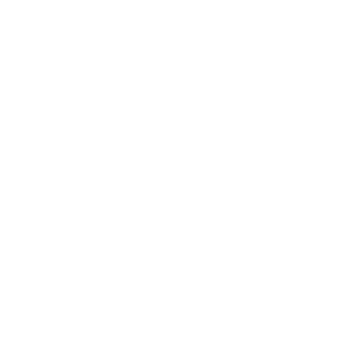 Next Level Solutions