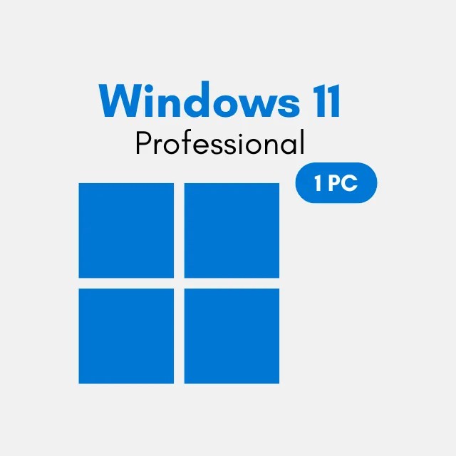 Microsoft Windows 11 Professional 1 PC