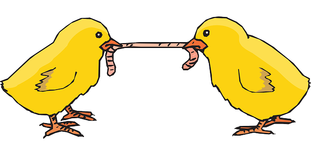 Read more about the article NEXT Missing