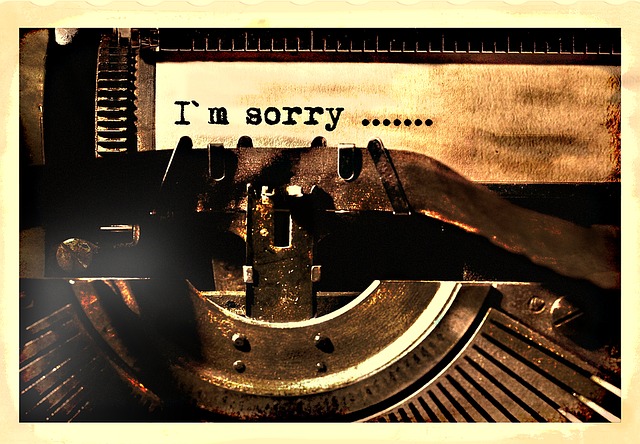 Read more about the article Ordinary Apology