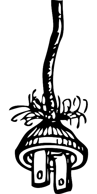 Read more about the article Ordinary Connection