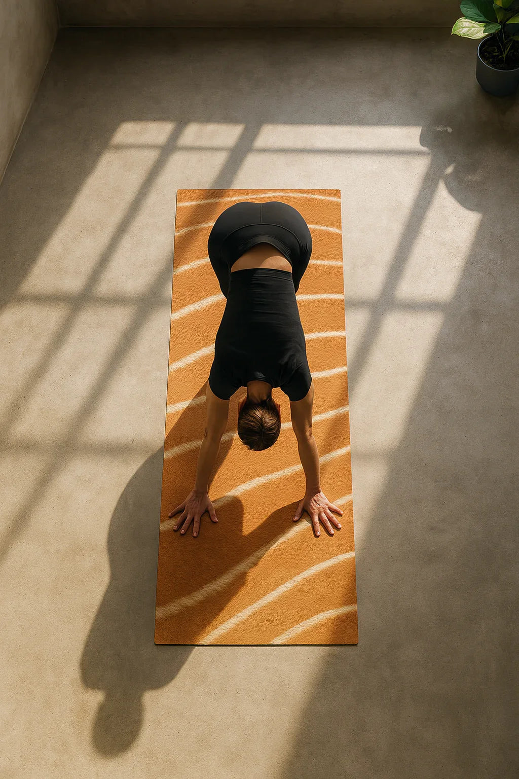 YogaPracticeinSunlight