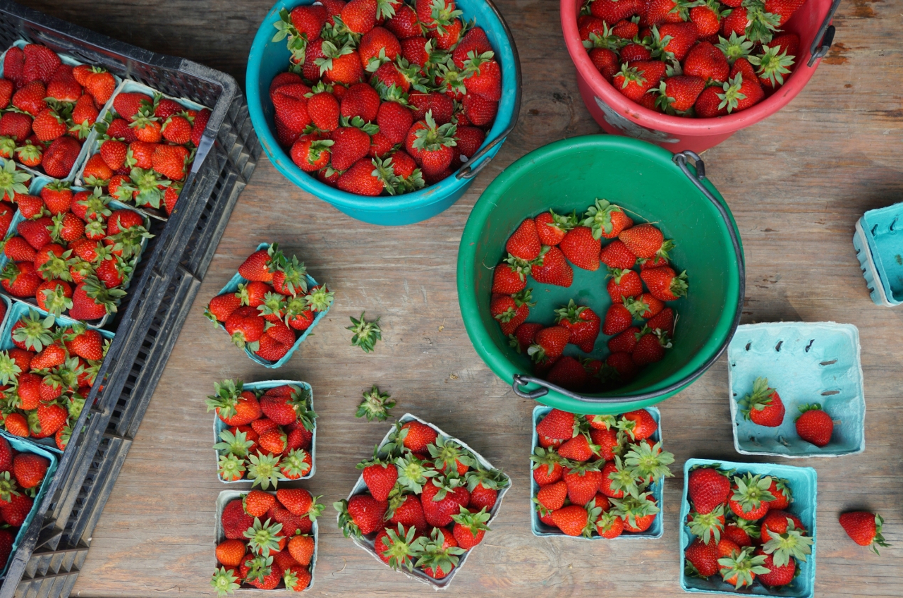 Next Step Produce photo
