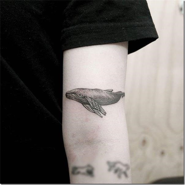 Whale Tattoos - Lovely Pictures And Drawings - Nexttattoos 604_x_604_jpg