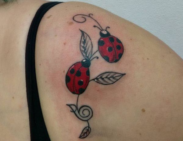 Advertisement please copy/paste the following text to properly cite this howstuffworks. 18 Cute Ladybug Tattoo Concepts Footage And Which Means Nexttattoos