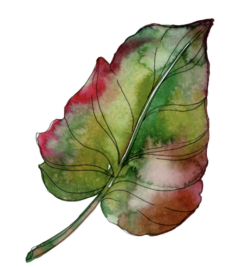 Read more about the article A new leaf turns @ nftrh.com