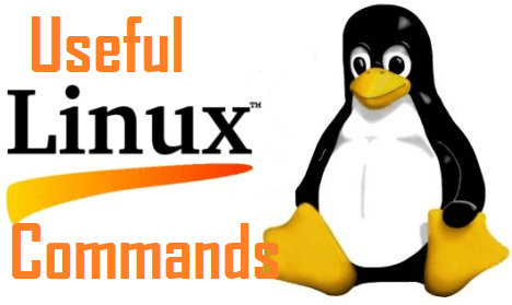 Useful Linux Commands for Beginners