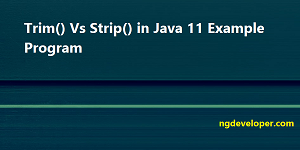 Trim-vs-script-java-11-example-program-featured