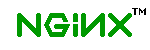 nginx logo