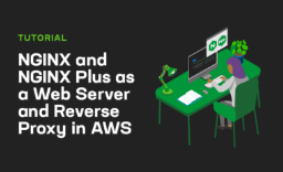 AWS Reverse Proxy