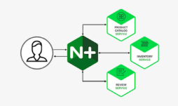 NGINX JavaScript