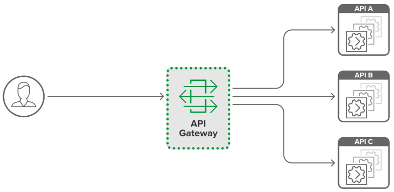 NGINX Plus API Gateway