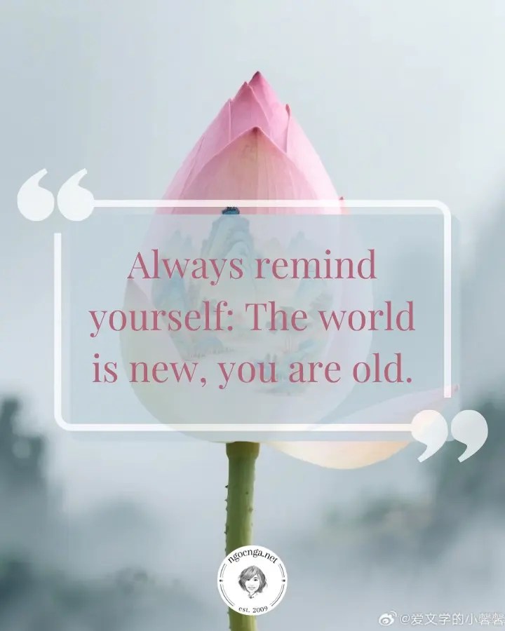 Always remind yourself: The world is new, you are old. All old cycles are not worth clinging to. Remember to renew yourself.