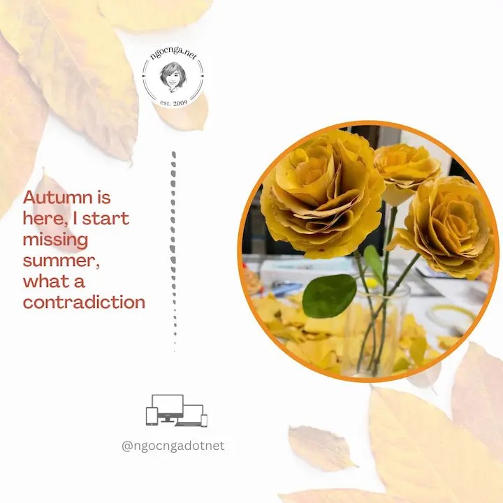 Autumn is here, I start missing summer, what a contradiction