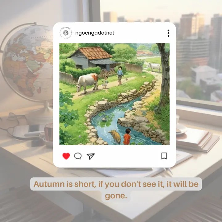 Autumn is short, if you don't see it, it will be gone
