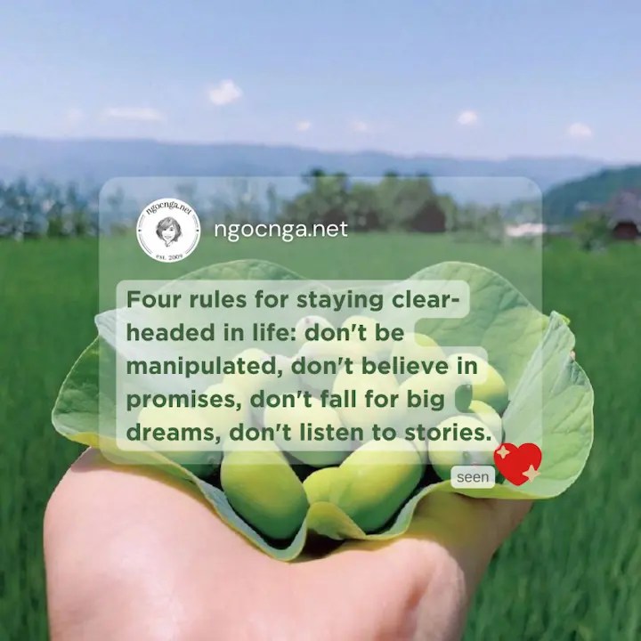 Four rules for staying clear-headed in life