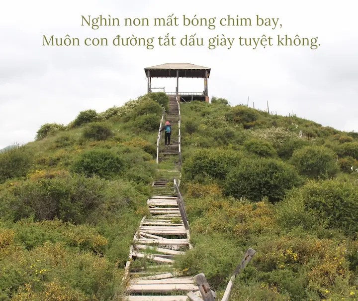 From hill to hill, no bird in flight