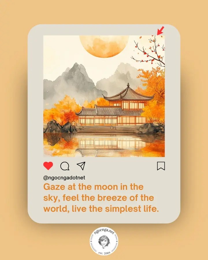 Gaze at the moon in the sky, feel the breeze of the world, live the simplest life.