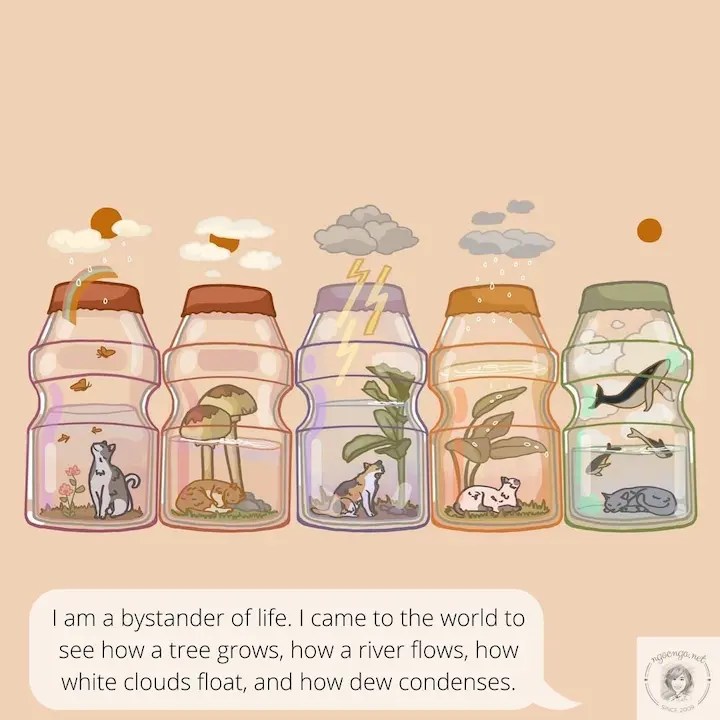 I am a bystander of life. I came to the world to see how a tree grows