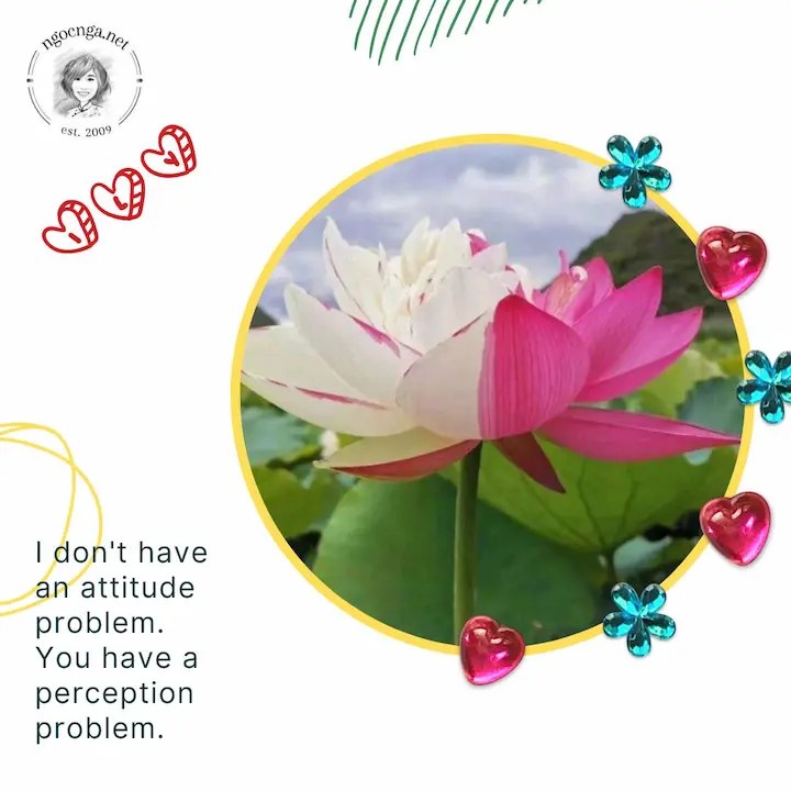 I don't have an attitude problem. You have a perception problem