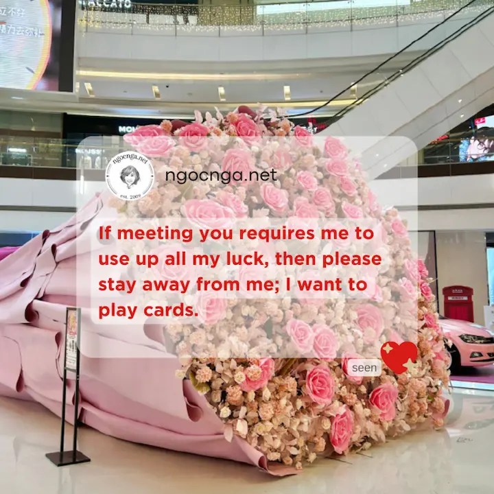 If meeting you requires me to use up all my luck, then please stay away from me