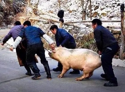 If you always need someone to pull you from the front and someone to push you from behind to make any progress