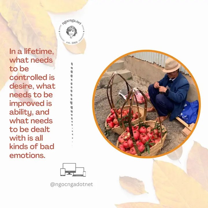 In a lifetime, what needs to be controlled is desire