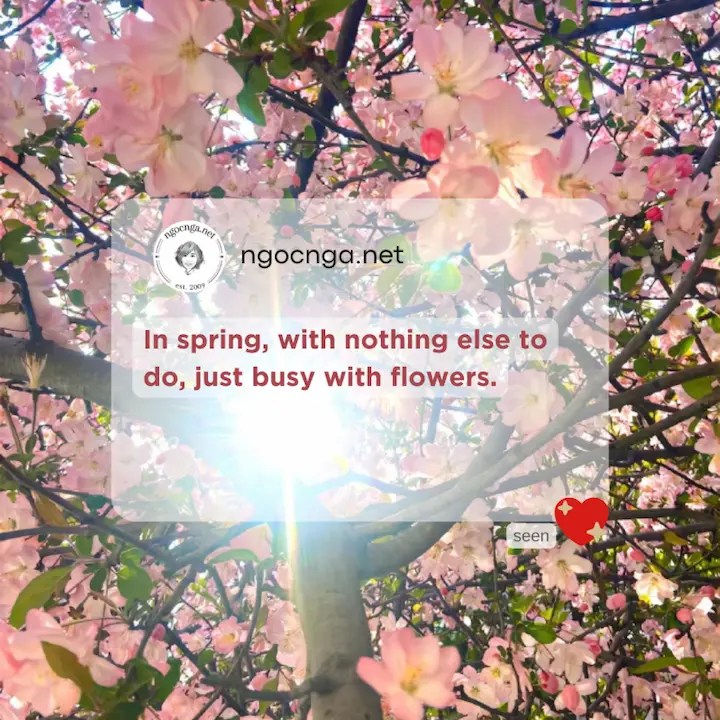In spring, with nothing else to do, just busy with flowers