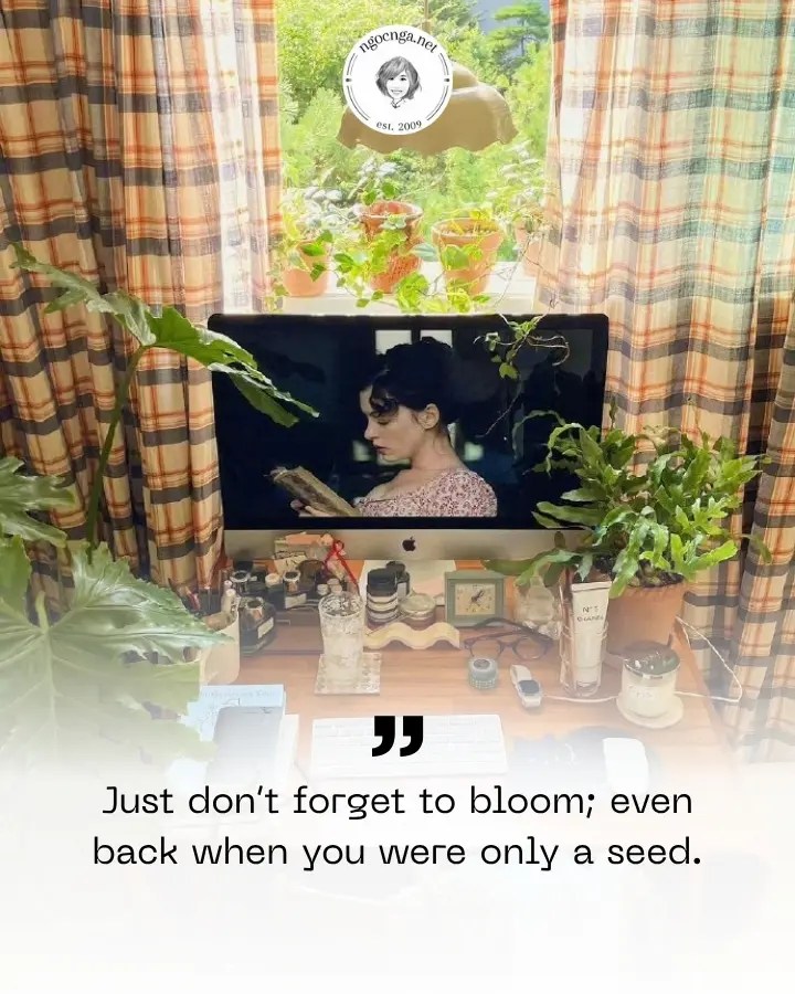 Just don’t forget to bloom; even back when you were only a seed.