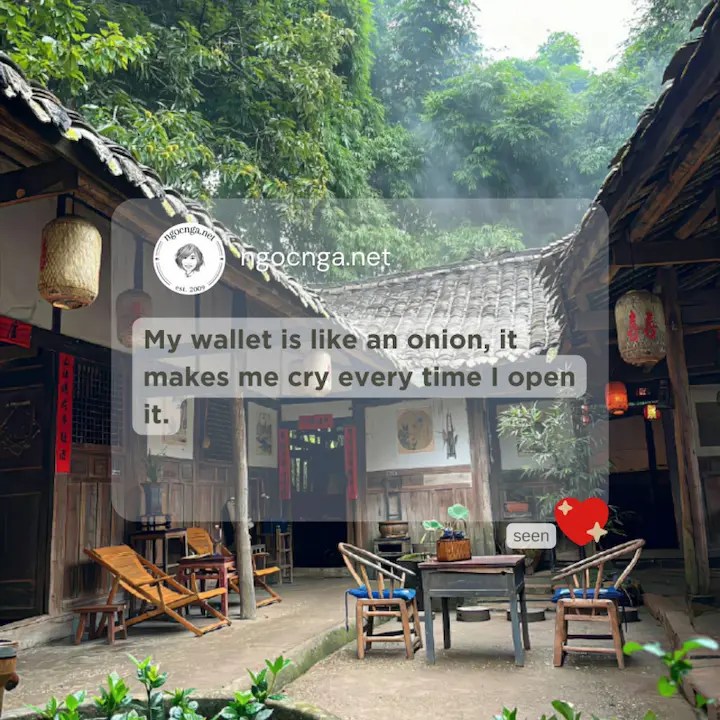 My wallet is like an onion, it makes me cry every time I open it