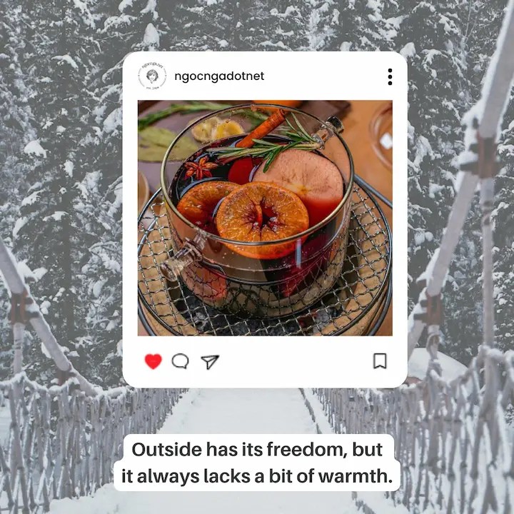 Outside has its freedom, but it always lacks a bit of warmth