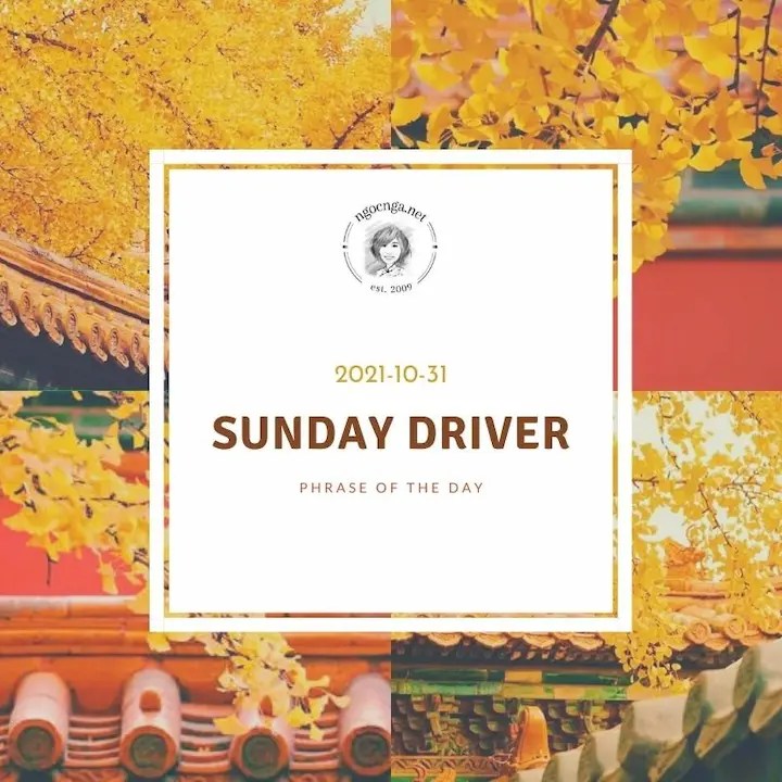 Phrase Of The Day: Sunday Driver
