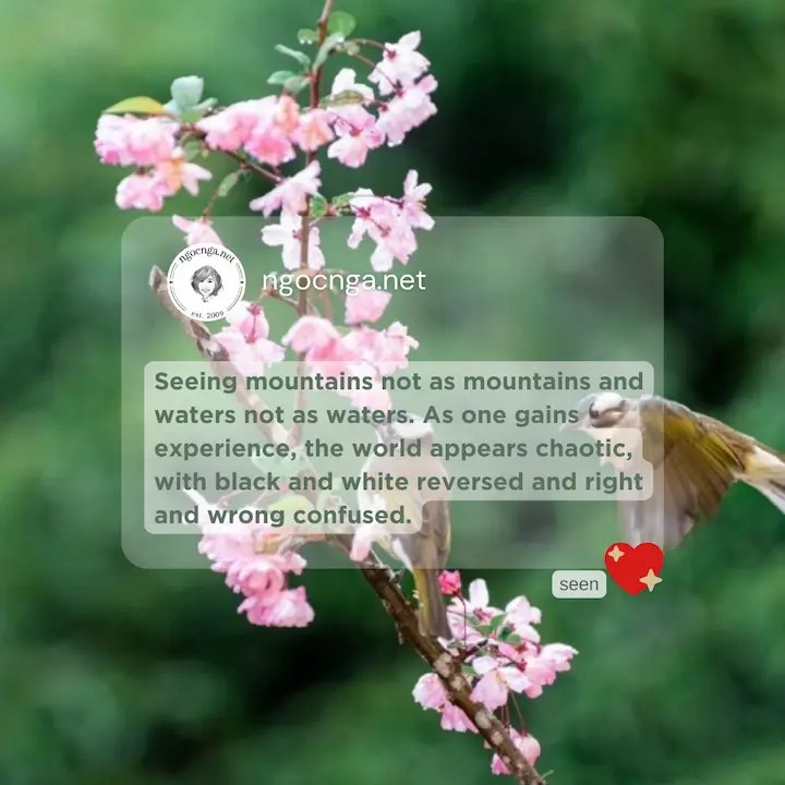 Seeing mountains not as mountains and waters not as waters