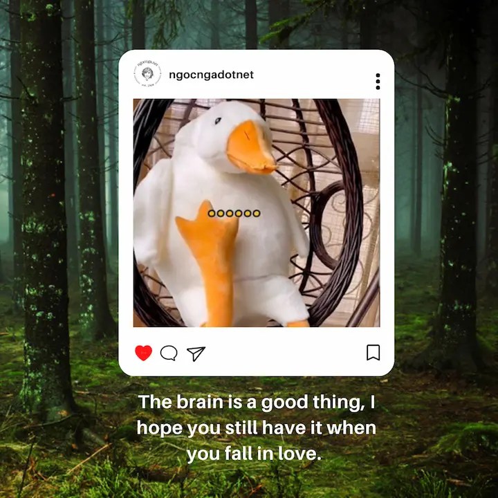 The brain is a good thing, I hope you still have it when you fall in love