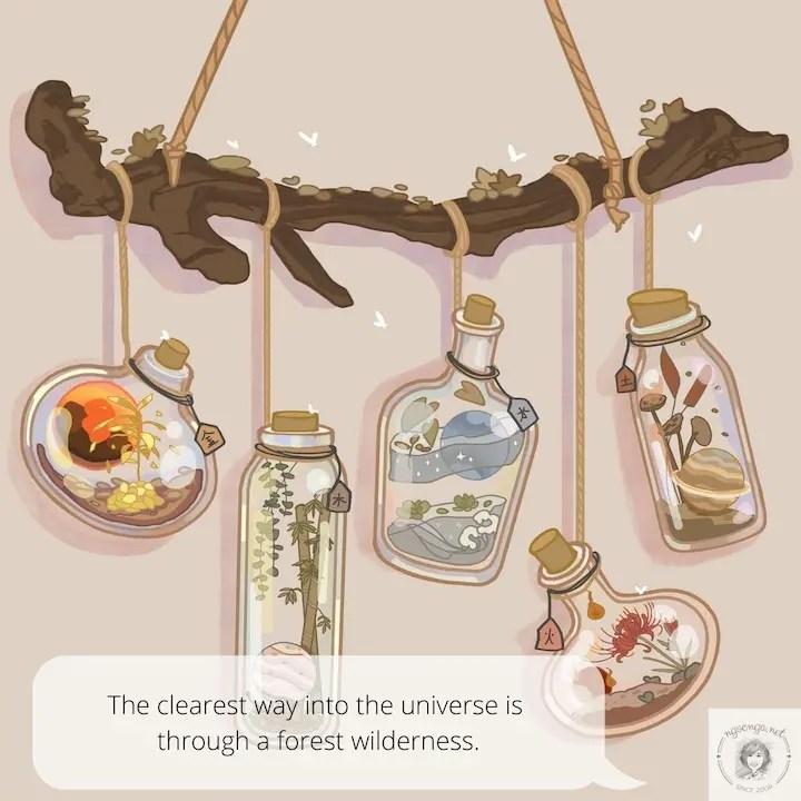 The clearest way into the universe is through a forest wilderness