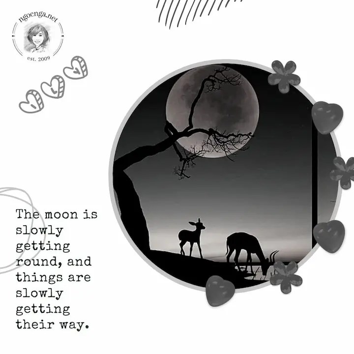 The moon is slowly getting round, and things are slowly getting their way